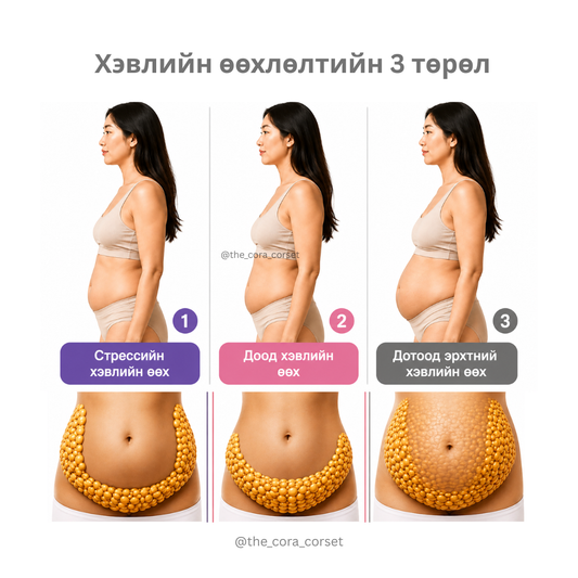 Хэвлийн өөхлөлтийг хэрхэн арилгах вэ?